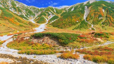 🐦 현립 다테야마 야조의 숲(켄리츠 타테야마 야초노모리) 이미지 2